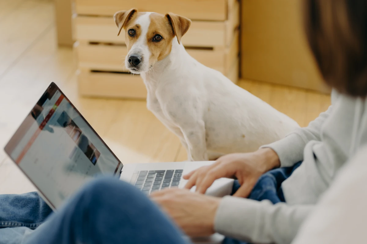 Résilier une box internet : le guide pratique pour connaître vos droits et démarches